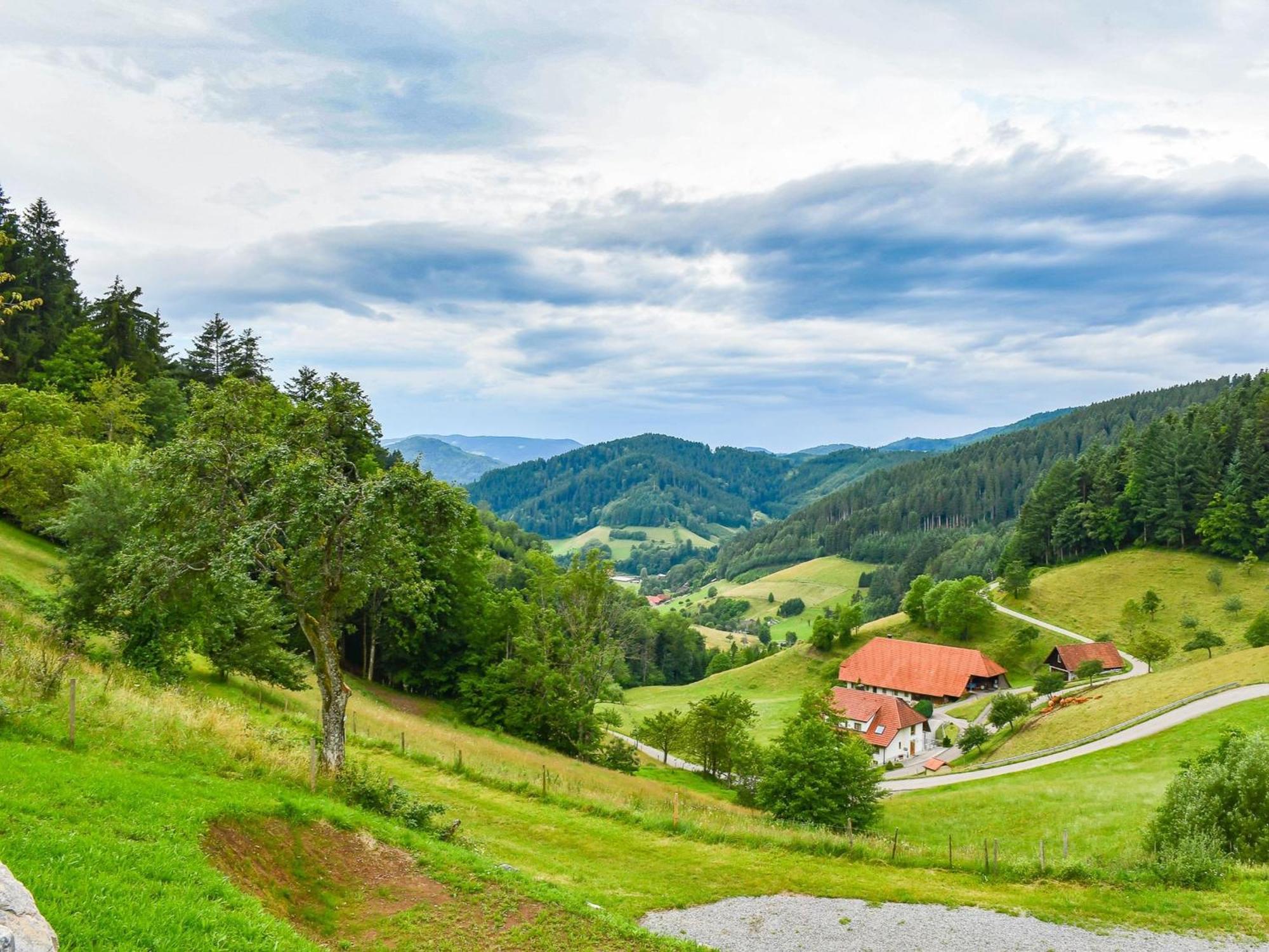 Ferienhaus Wendelinus Mit Pool & Sauna Hausach Extérieur photo